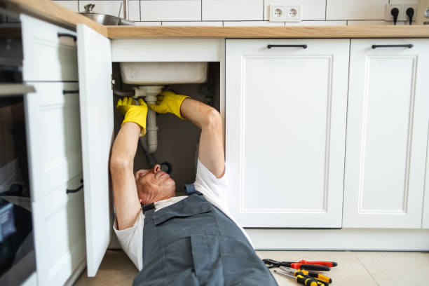 Best Same-Day Plumbing Service  in La Feria, TX