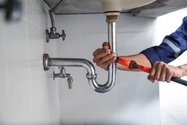 Best Residential Plumbing Services  in La Feria, TX