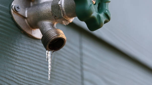 Best Drain Cleaning Services  in La Feria, TX