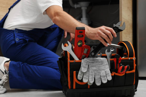 Best Plumbing Services Near Me  in La Feria, TX