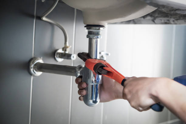Best Plumbing Inspection Services  in La Feria, TX