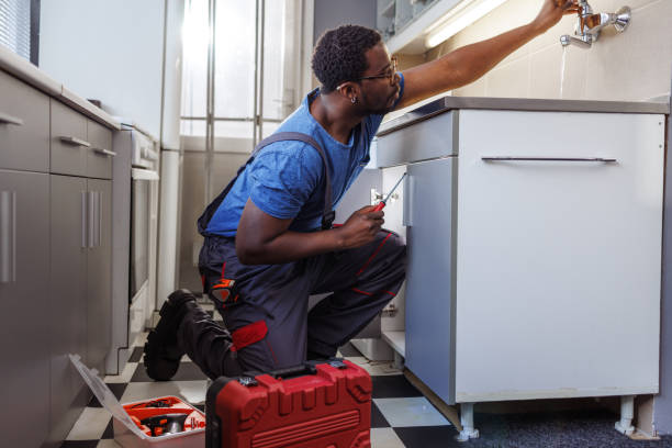 Best Water Softener Installation  in La Feria, TX